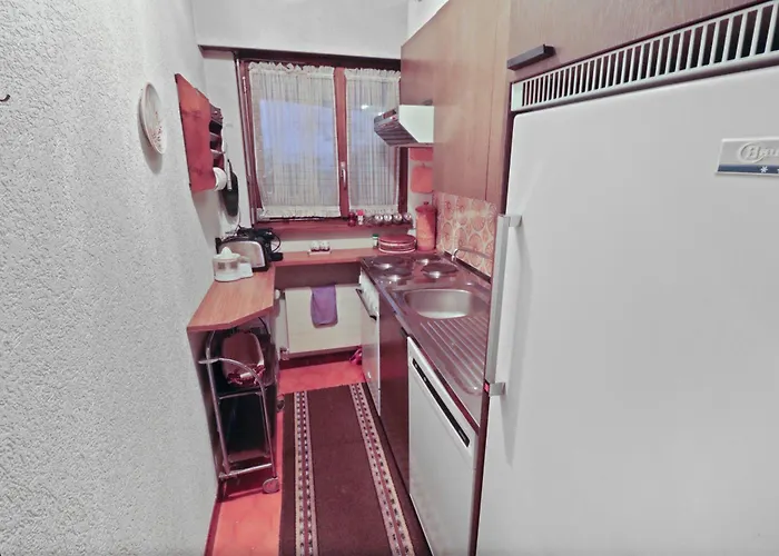 Avec Vue Sur Les Montagnes Crans-Montana